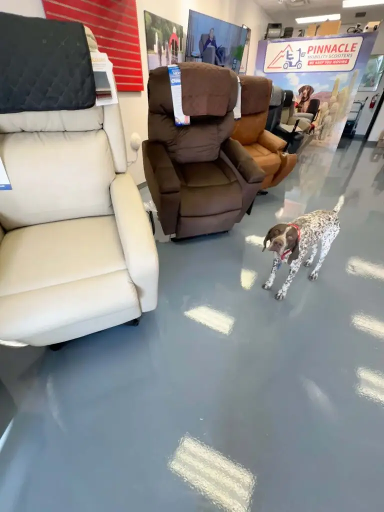 lift chair